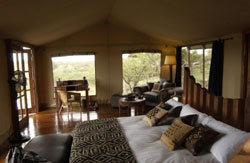 Tanzania Migration Camp