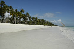 Tanzania Ocean Paradise Beach Resort