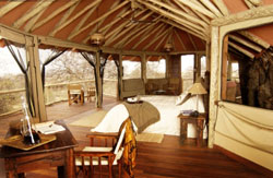 Tanzania Tarangire Tree Tops