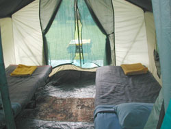 Adventure Mobile Camp Style interior front view